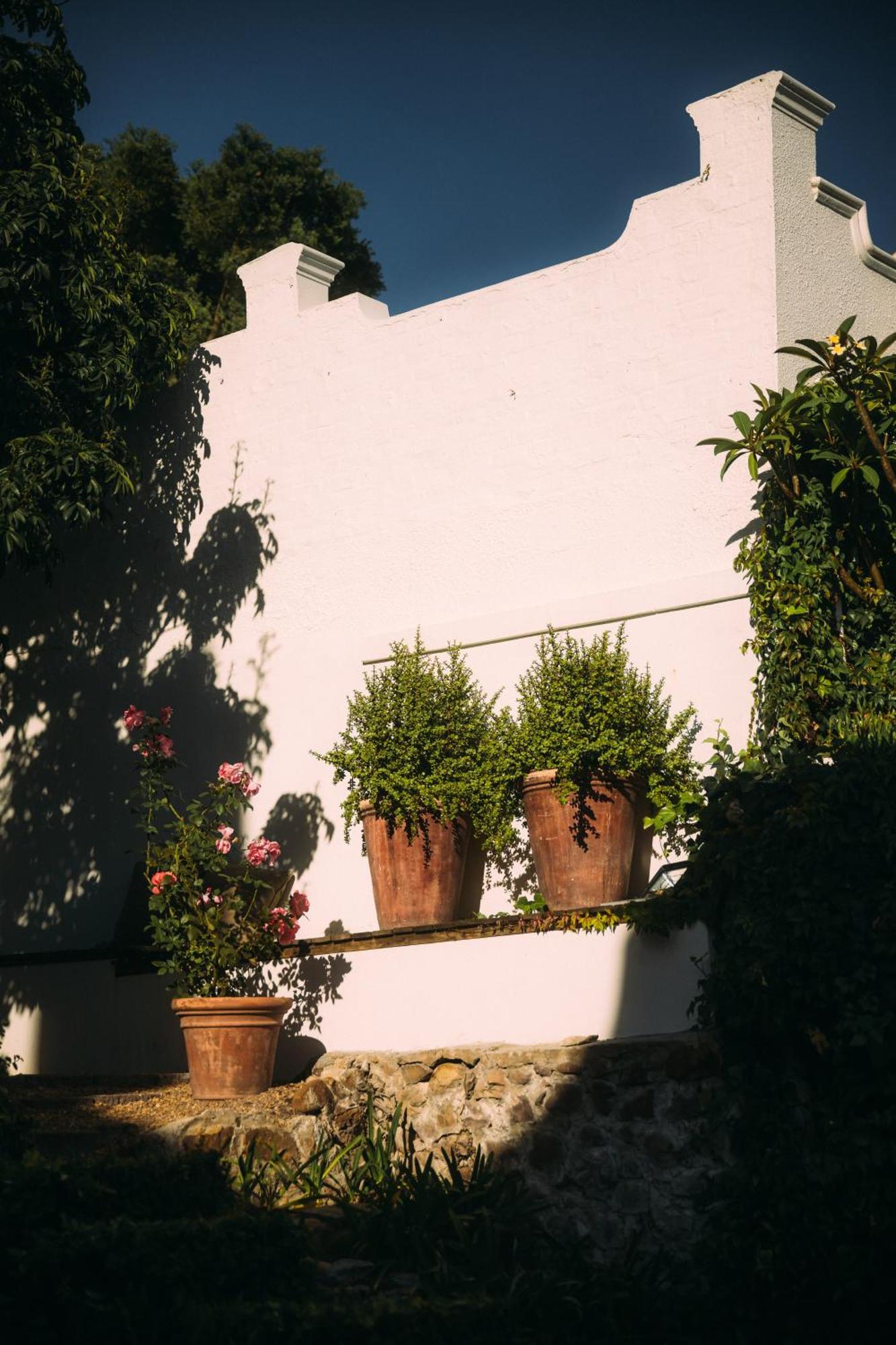 Acorn House Bed & Breakfast Cape Town